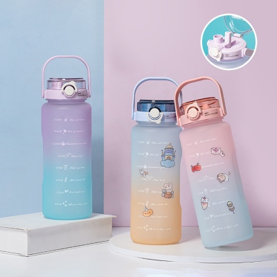 2000ML渐变双饮直身塑料杯（OPP袋）