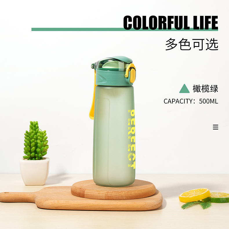 500ML缤纷系菲尔弹盖塑料杯个性简约时尚磨砂太空杯