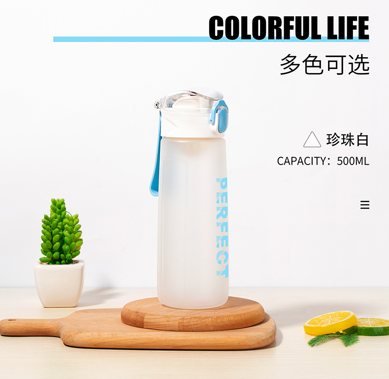 500ML缤纷系菲尔弹盖塑料杯个性简约时尚磨砂太空杯