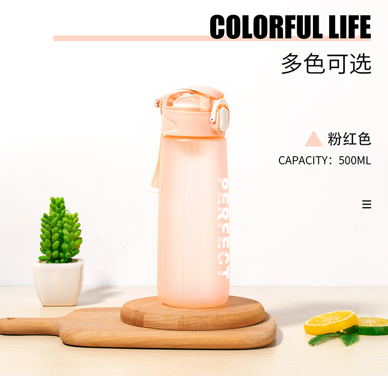 500ML缤纷系菲尔弹盖塑料杯个性简约时尚磨砂太空杯