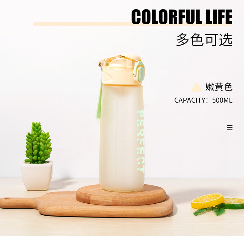 500ML缤纷系菲尔弹盖塑料杯个性简约时尚磨砂太空杯