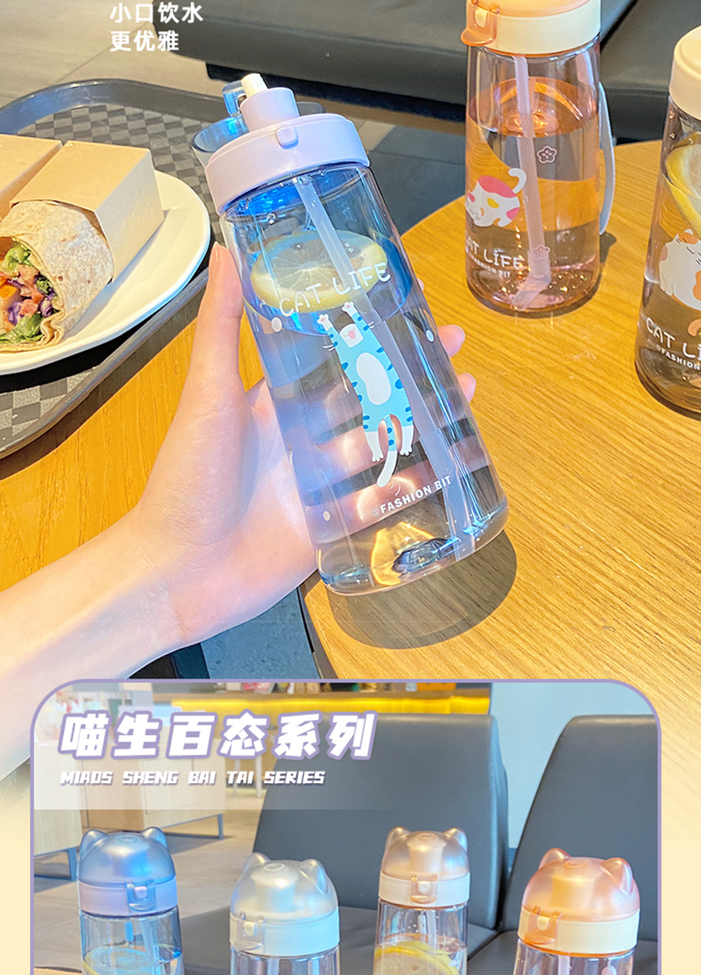 500ML卡通喵生百态塑料杯弹跳盖清新可爱吸管杯（彩盒）