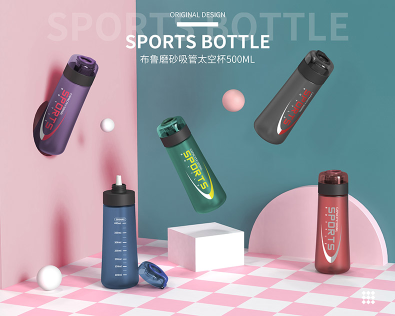 500ml布鲁磨砂吸管太空塑料杯户外运动便携水杯(彩盒）