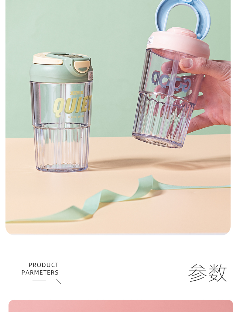 480ML北欧风双饮口塑料杯男女士商务办公吸管杯（彩盒）