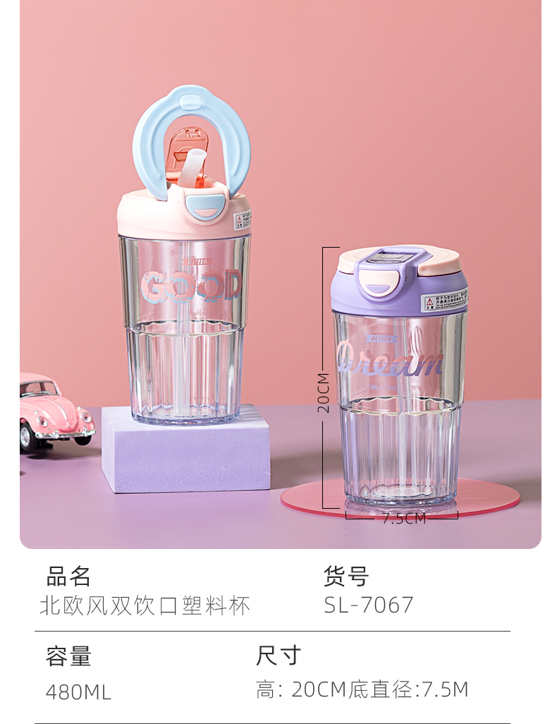 480ML北欧风双饮口塑料杯男女士商务办公吸管杯（彩盒）