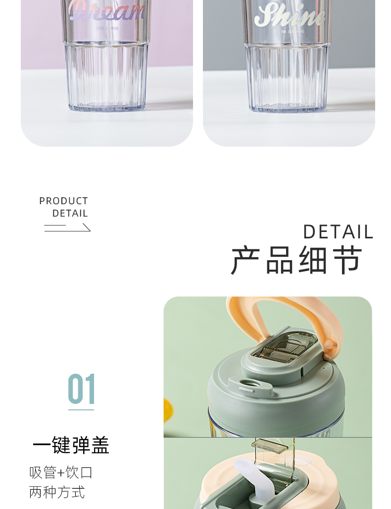 480ML北欧风双饮口塑料杯男女士商务办公吸管杯（彩盒）