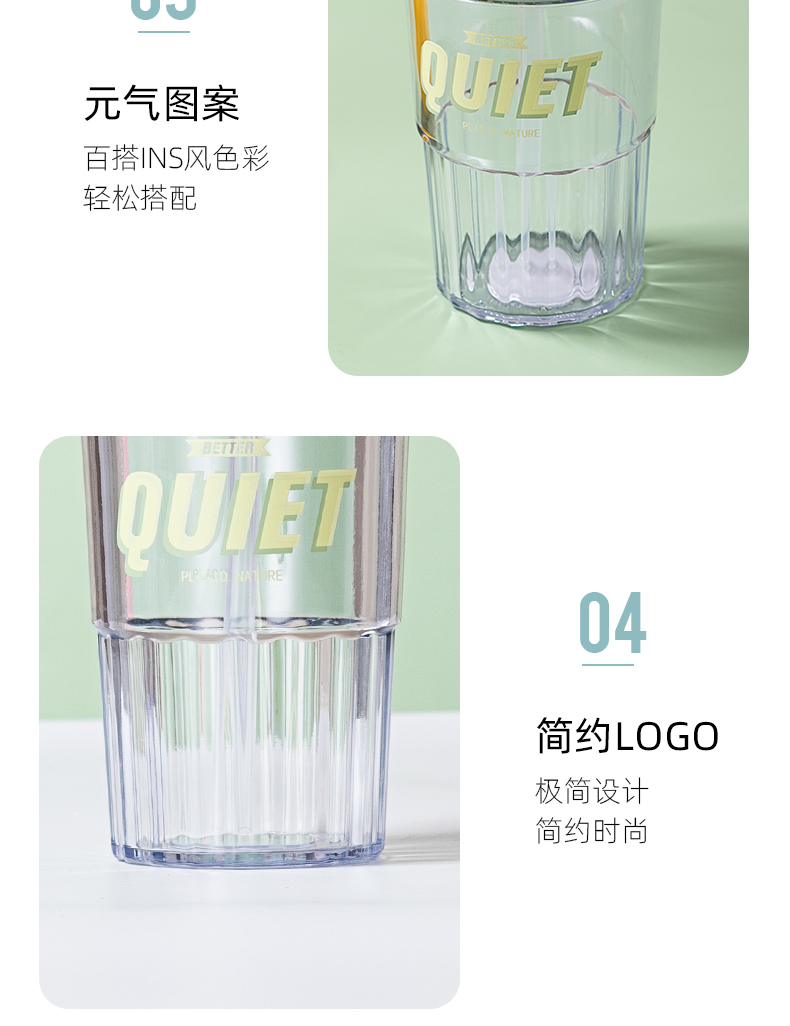 480ML北欧风双饮口塑料杯男女士商务办公吸管杯（彩盒）
