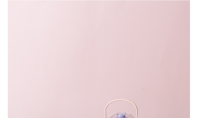 1000ML单饮吸管水杯卡通可爱塑料杯（彩盒）