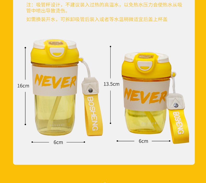 500ML乐枫双饮口咖啡塑料杯高颜值直饮吸管水杯（彩盒）
