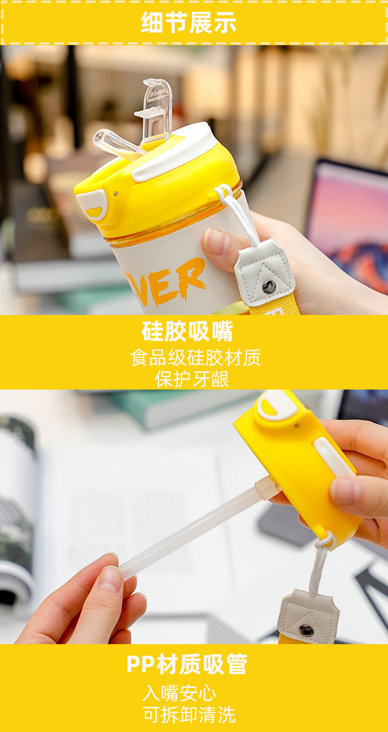 500ML乐枫双饮口咖啡塑料杯高颜值直饮吸管水杯（彩盒）