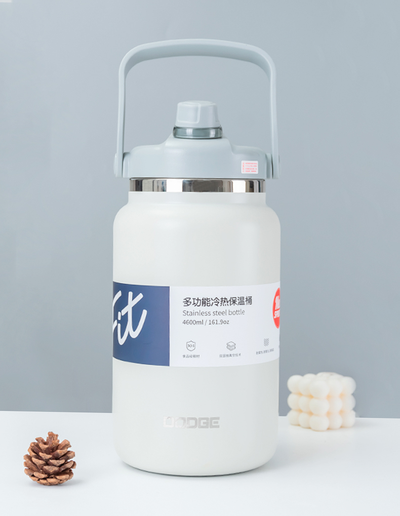 4600ML道奇多功能冷热保温桶