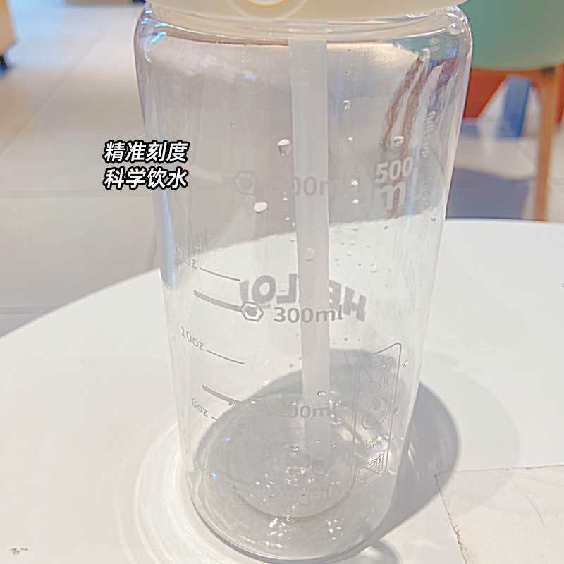 500ML吸管随手塑料杯