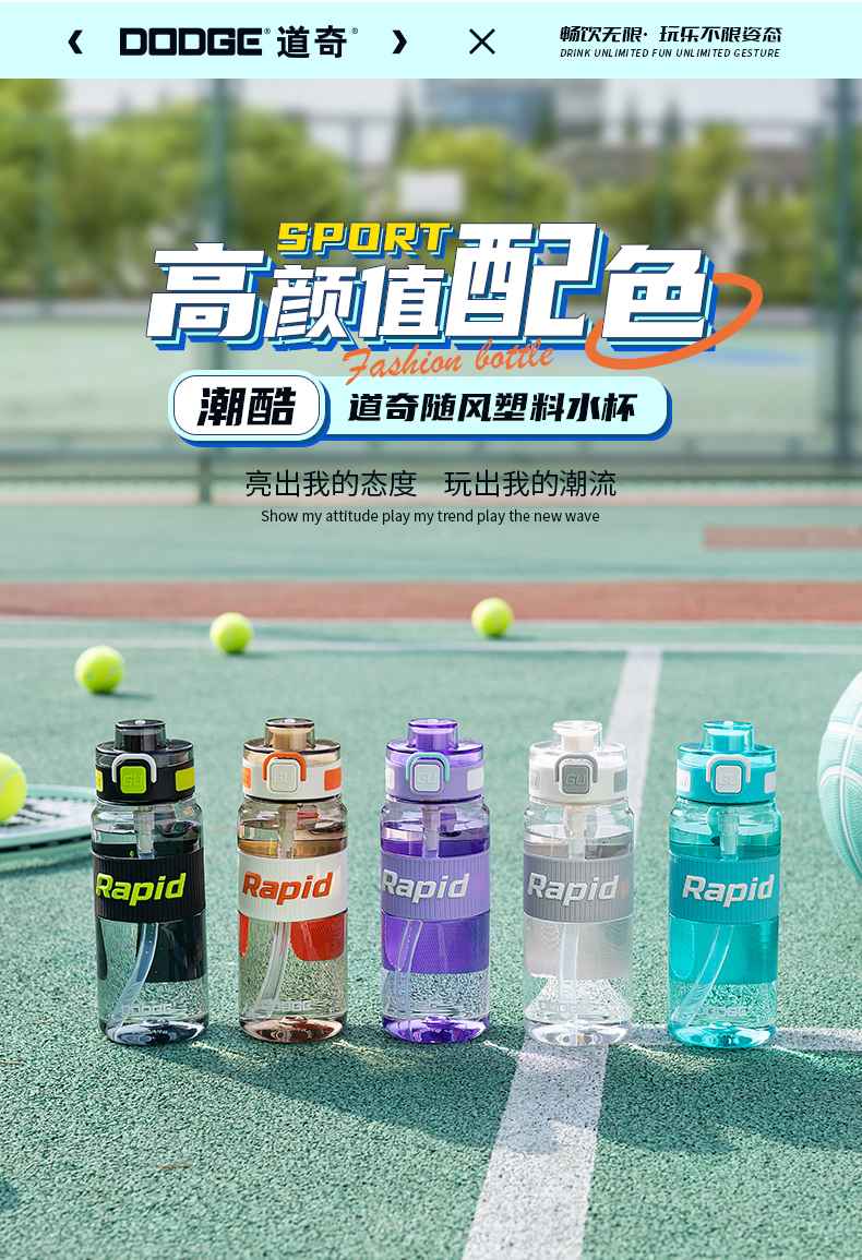 650ML道奇随风塑料水杯