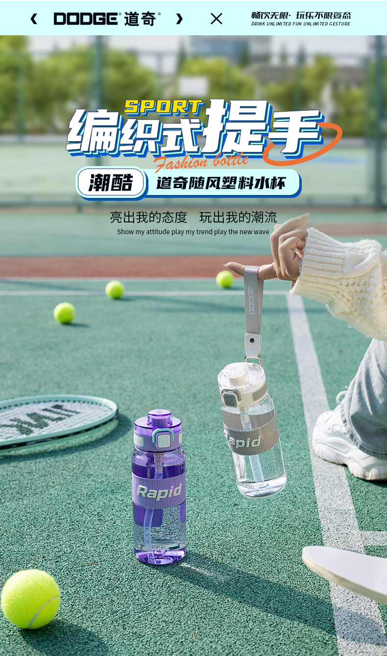 650ML道奇随风塑料水杯