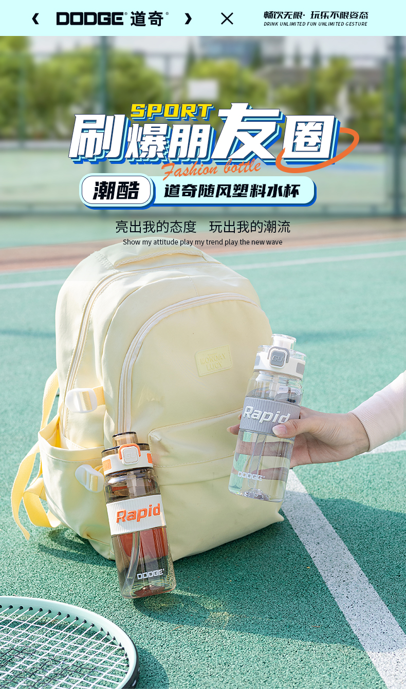 650ML道奇随风塑料水杯