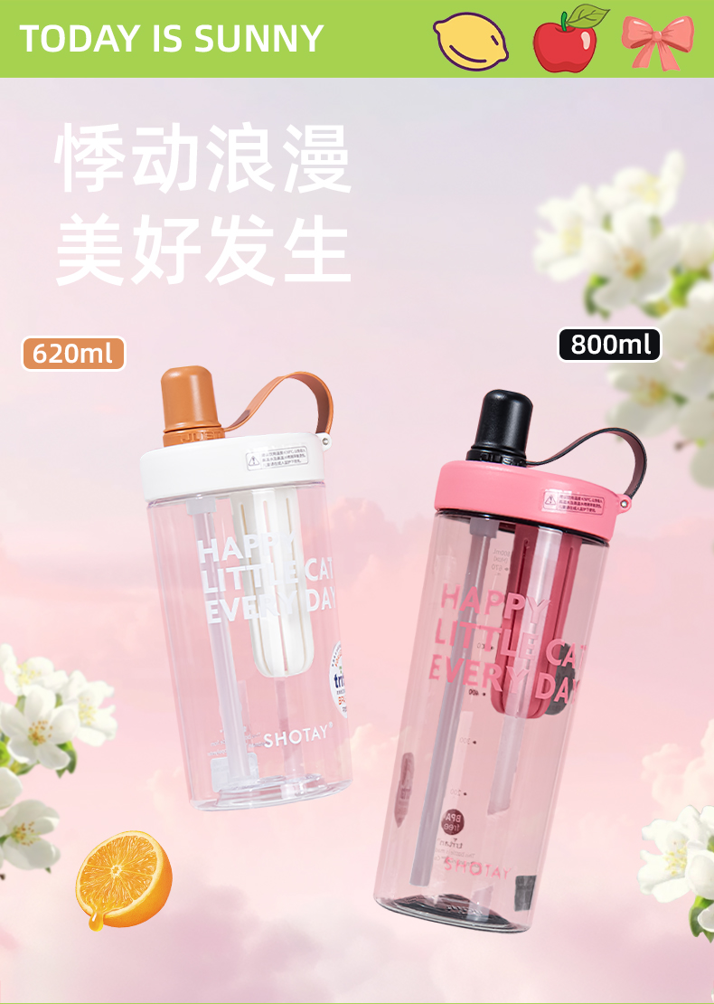 620ML尚泰随手花茶杯